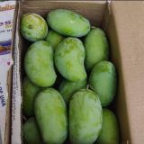 10lbs kesars mangoes $60